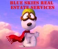 Blue Skies Real Estate Services
