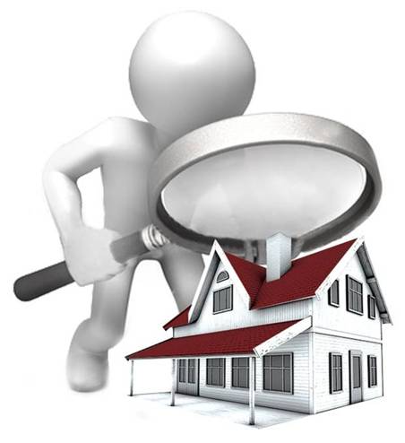 Waleska Davila Orengo