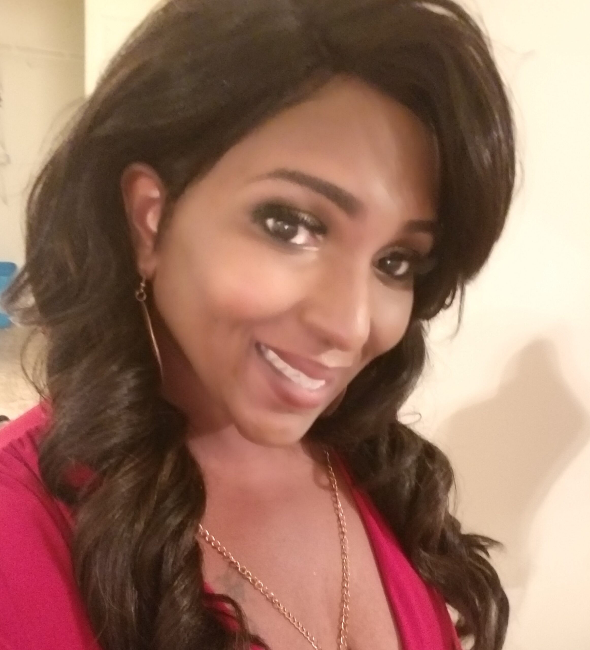 DOLLHOUSE INSPECTIONS