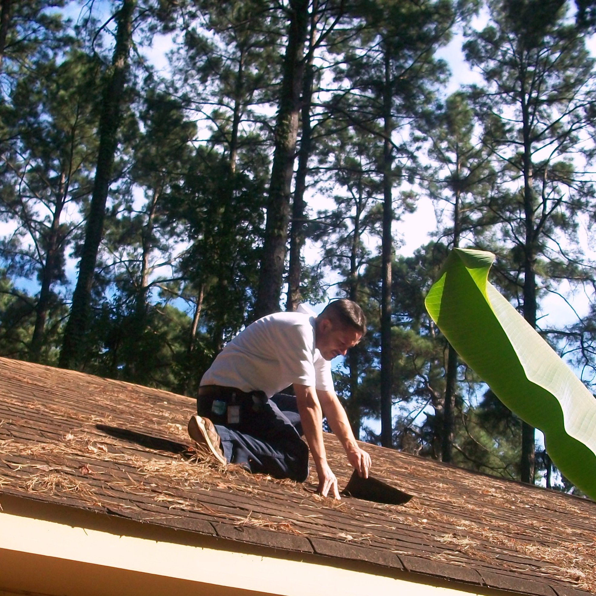 Bossier Home Inspections