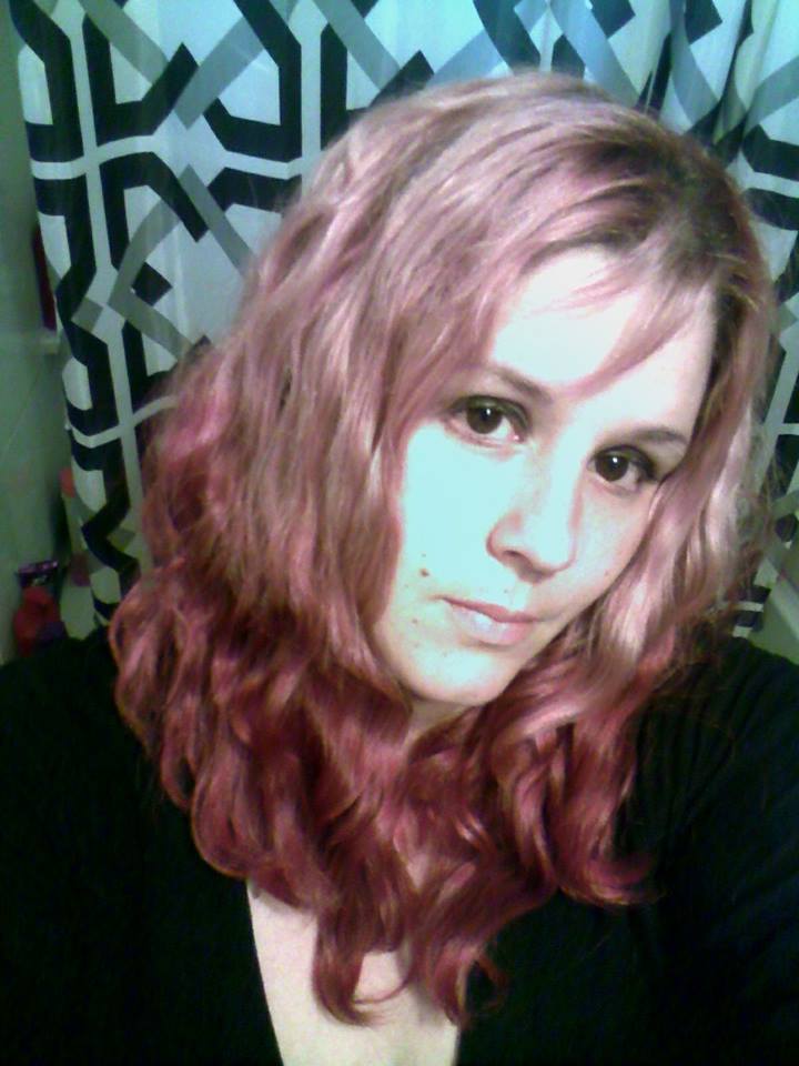 Tories Fast Inspections