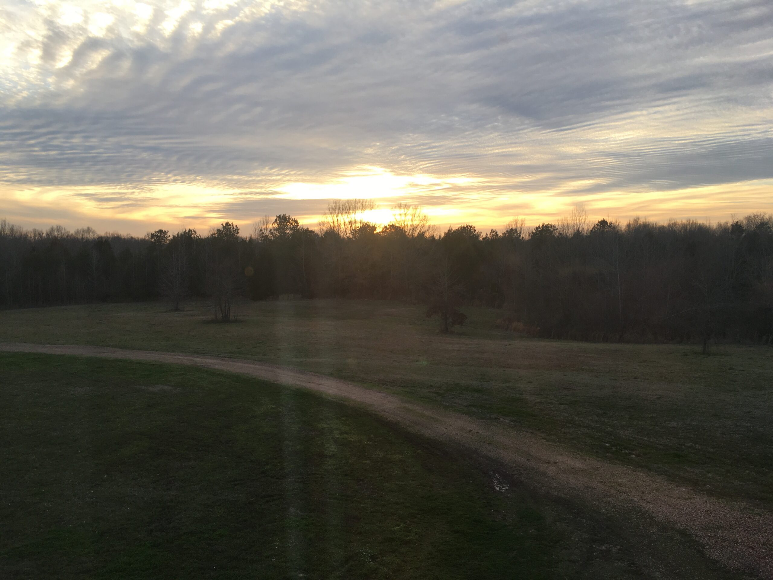 DAVIS INSPECTIONS SERVICES